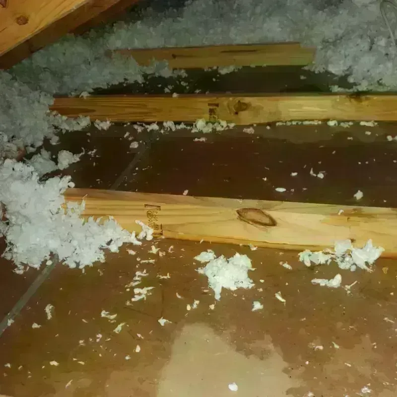 Attic Water Damage in Jamestown, RI